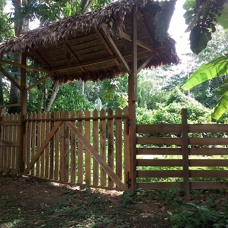 Tambopata River Puerto Maldonado Extérieur photo