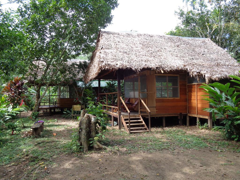 Tambopata River Puerto Maldonado Extérieur photo