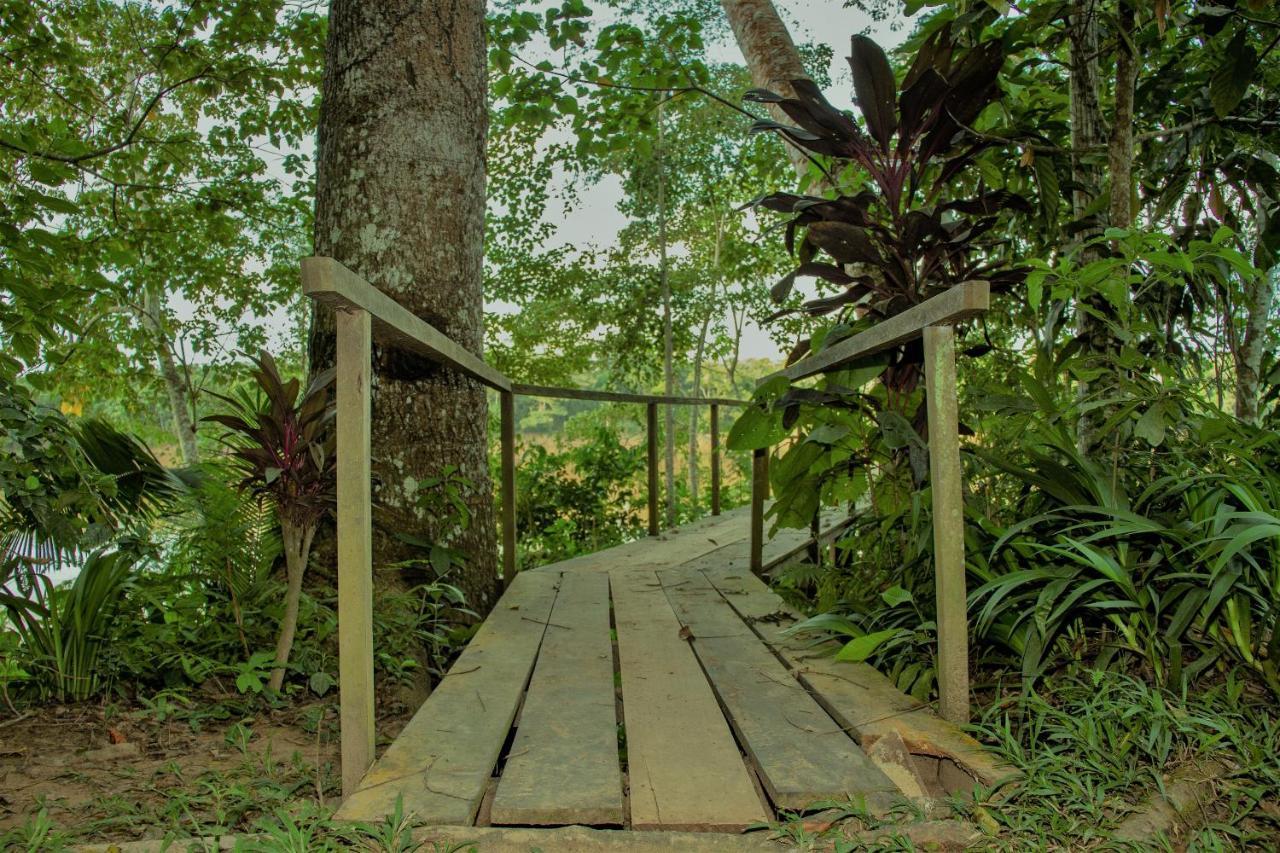 Tambopata River Puerto Maldonado Extérieur photo